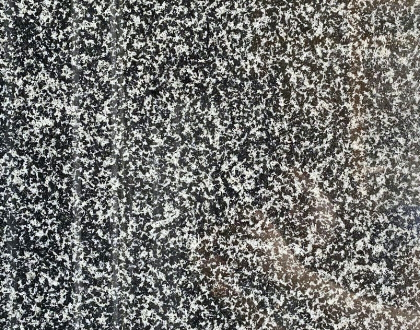 ĐÁ GRANITE ĐEN BÔNG LÀI